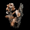 Stilbite on Chalcedony Coral Formation Natural Mineral Specimen  # B 5145