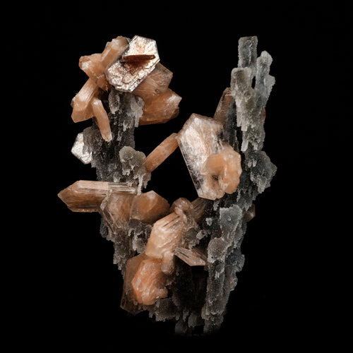 Stilbite on Chalcedony Coral Formation Natural Mineral Specimen  # B 5145