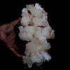 Stilbite on Heulandite Natural Mineral Specimen  # B 4729