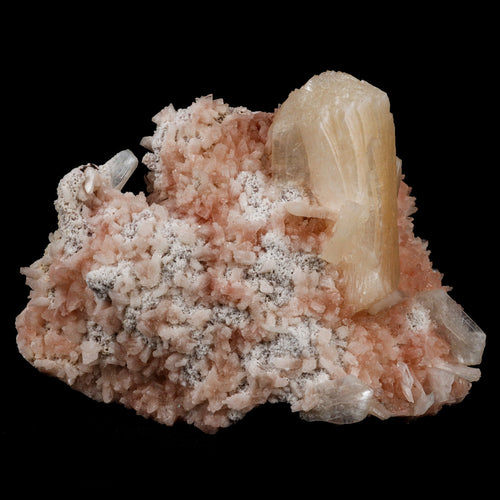 Stilbite on Heulanidte Natural Mineral Specimen  # B 5154