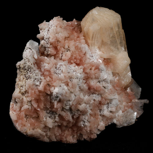 Stilbite on Heulanidte Natural Mineral Specimen  # B 5154