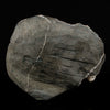 Stilbite with Heulandite Natural Mineral Specimen # B 5584