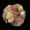 Stilbite with Heulandite Natural Mineral Specimen # B 5584
