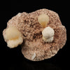 Stilbite with Heulandite Natural Mineral Specimen # B 5584