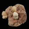 Stilbite with Heulandite Natural Mineral Specimen # B 5584