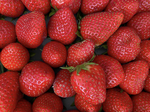 Strawberry Flavored Yak Cheese Chew - made with REAL STRAWBERRY Puree - Single