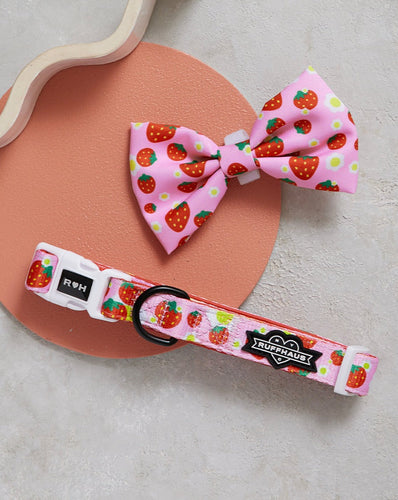 Strawberry Collar & Bowtie