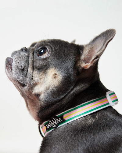 Strawberry Striped Collar & Bowtie