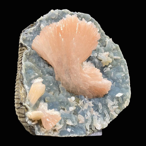 Stunning Pink Heulandite on Chalcedony Matrix – Rare Indian Zeolite Crystal Specimen from Jalgaon DK11