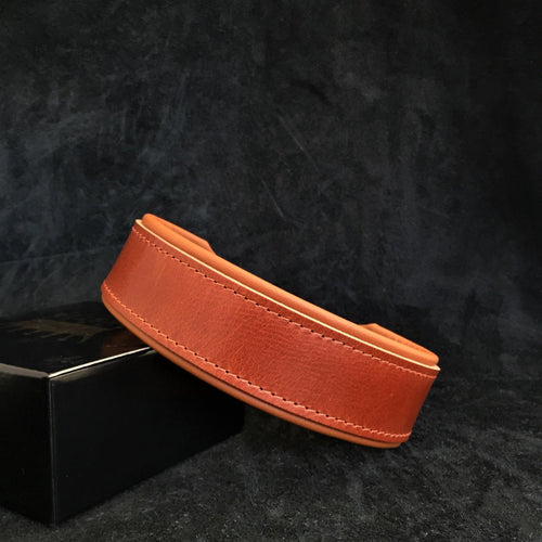 Stylish 2 inch wide dog collar