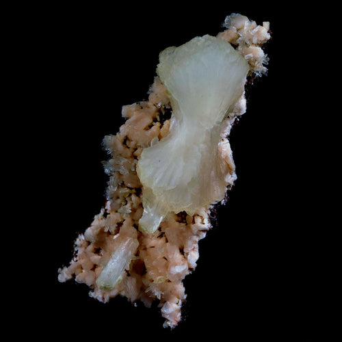 Superb Stilbite Bow-Tie on Heulandite Natural Mineral Specimen Natural Mineral Specimen  # B 4583