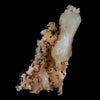 Superb Stilbite Bow-Tie on Heulandite Natural Mineral Specimen Natural Mineral Specimen  # B 4583