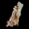 Superb Stilbite Bow-Tie on Heulandite Natural Mineral Specimen Natural Mineral Specimen  # B 4583