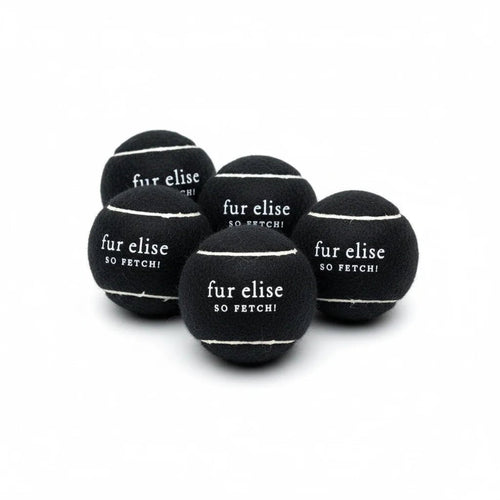 So Fetch! Tennis Ball Pack of 5 - Noire