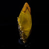 Terminated Calcite New Find Rare Natural Mineral Specimen # B 6733
