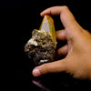 Terminated Calcite New Find Rare Natural Mineral Specimen # B 6733