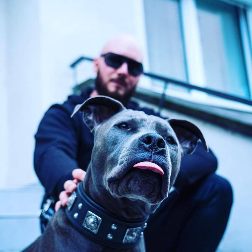 The all Black Eros collar 2.5 inch wide