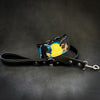 Batman & Catwoman Limited Collar