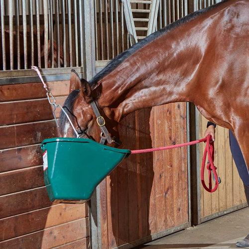 The Better Bucket – 2.5 & 5 Gallon Horse and Cattle Feeder, Ergonomic Feed