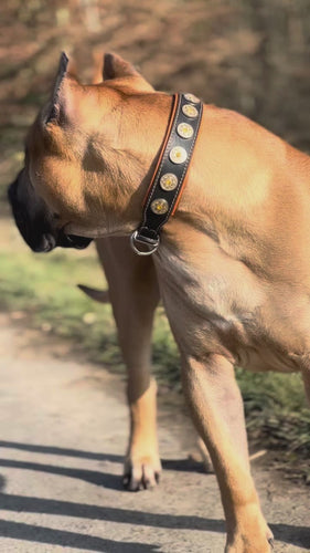 The Bijou collar orange