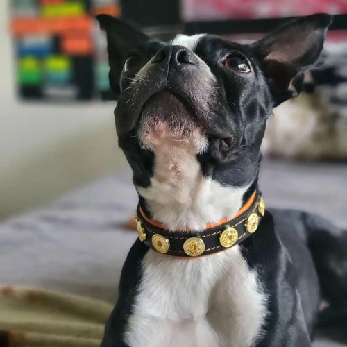 The Bijou handmade puppy collar