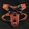 The Bowtie leather harness brown Small to Medium Size