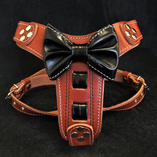 The Bowtie leather harness brown Small to Medium Size