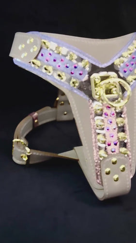 THE CANDY Harness