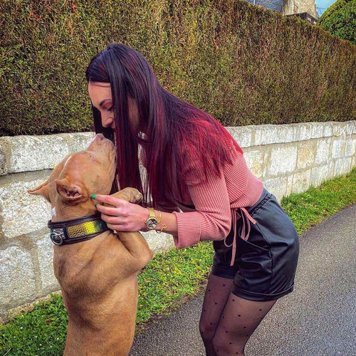 The ''D`Albertis'' collar