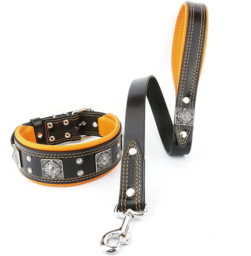 The Eros collar 2.5 inch wide black & orange