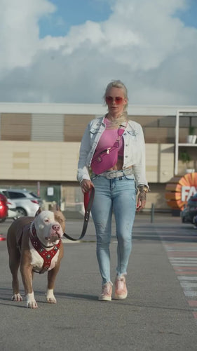 The Eros harness RED 100% genuine leather