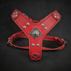 The ''Eros'' harness red Small to Medium Size