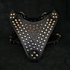 The Gladiator harness  with 2 chest straps!