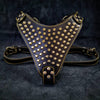 The Gladiator harness Gold/Silver