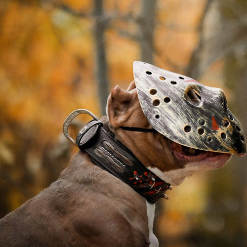 The Haunted'' collar LIMITED Halloween Collection