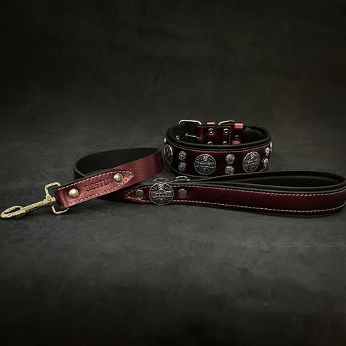 The Hektor Burgundy Collar LIMITED