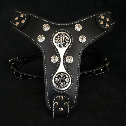 The Hektor harness