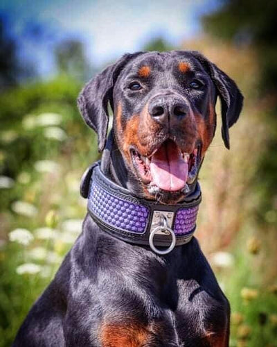 The ''Hexagon'' LIMITED collar exclusive design