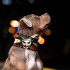 The Joker Limited Collar Exclusive Halloween Collection