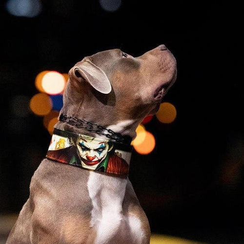 The Joker Limited Collar Exclusive Halloween Collection