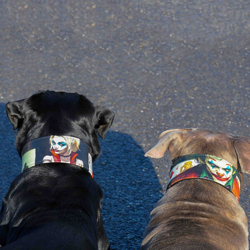 The Joker Limited Collar Exclusive Halloween Collection