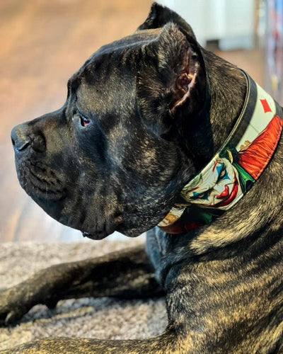 The Joker Limited Collar Exclusive Halloween Collection