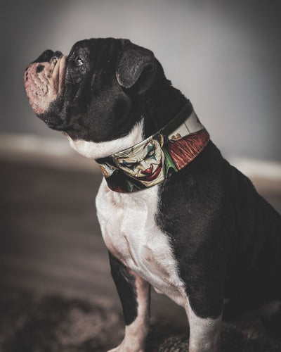The Joker Limited Collar Exclusive Halloween Collection