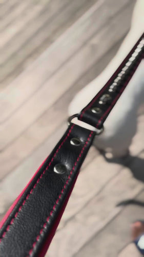 The Kennel collar- personalized!