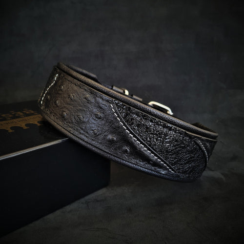 The Korona collar BLACK EDITION