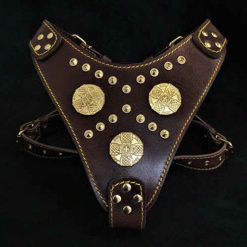 The Maximus brown harness