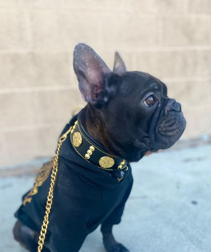 The Maximus collar 2 inch wide gold decoration