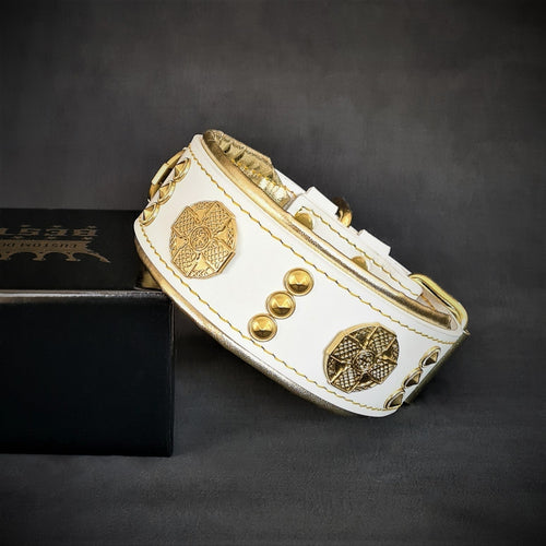The Maximus collar 2 inch wide white & gold