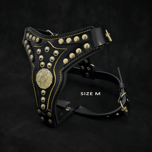 The Maximus harness Version 2