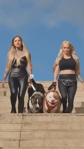 The Maximus harness White